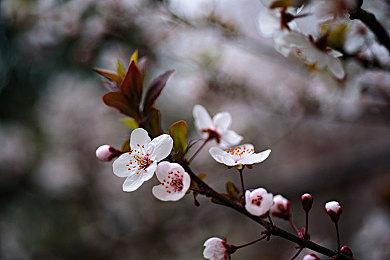 《HELL GALAXY》开启抢先体验 上市宣传片赏